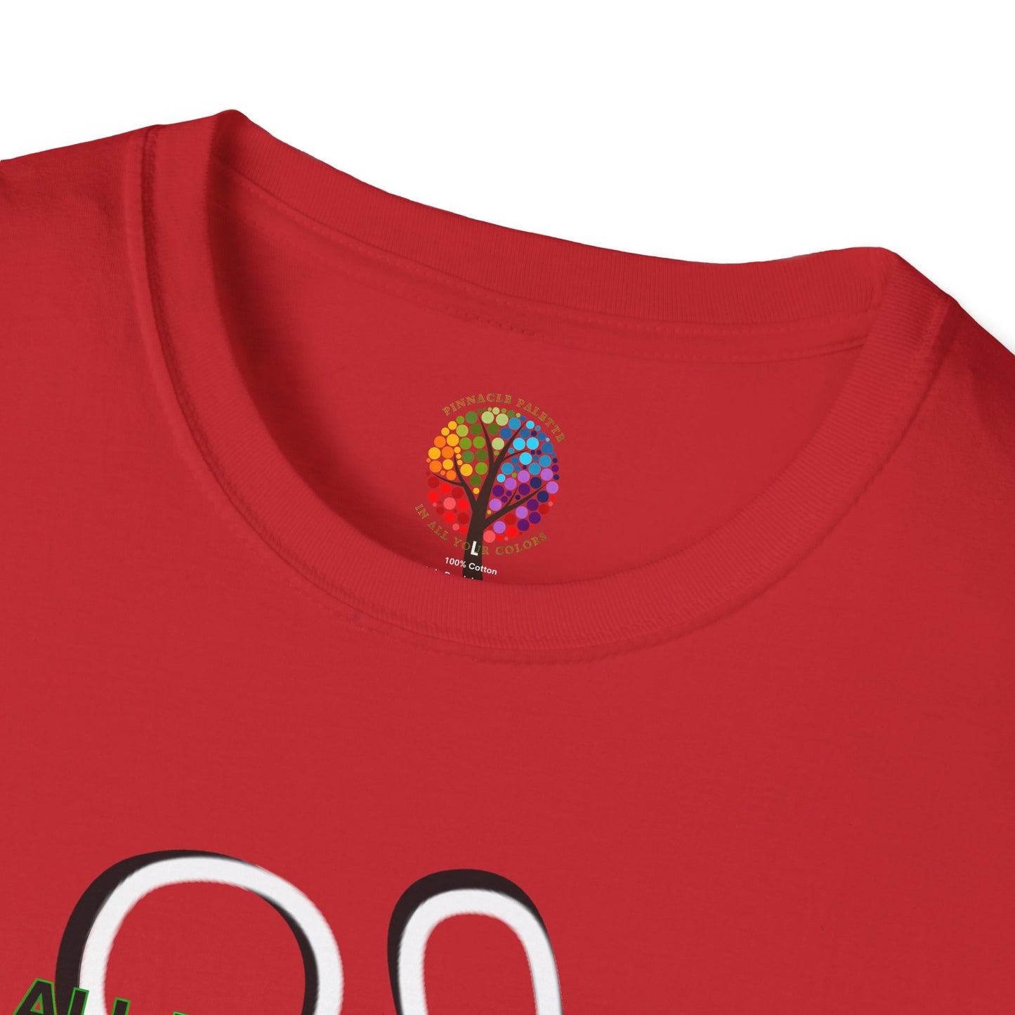 PALESTINE BLOOD RED T-SHIRT UNISEX
