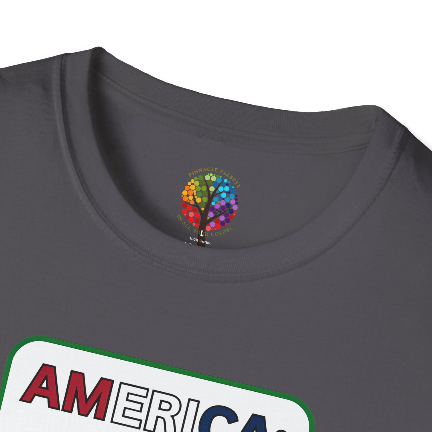 PALESTINE FLAG ABSTRACT T-SHIRT UNISEX
