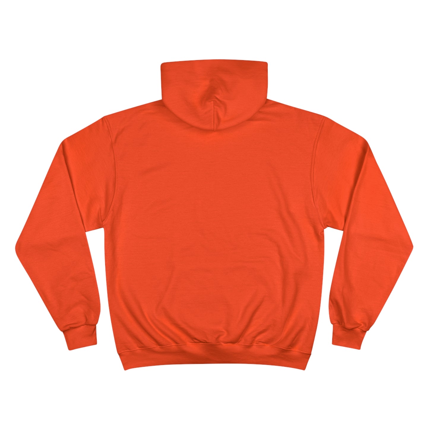SINECURIST GOOGLE IT HOODIE - UNISEX