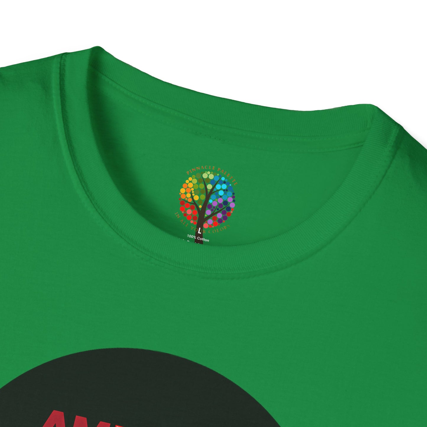 PALESTINE FLAG T-SHIRT UNISEX