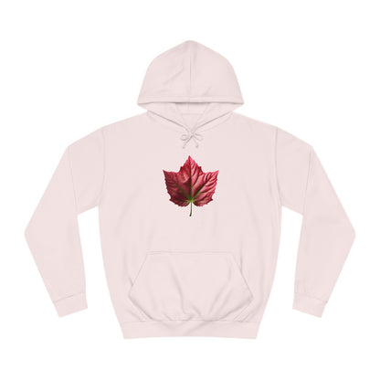 PAG PINK IVY HOODY - WOMEN'S