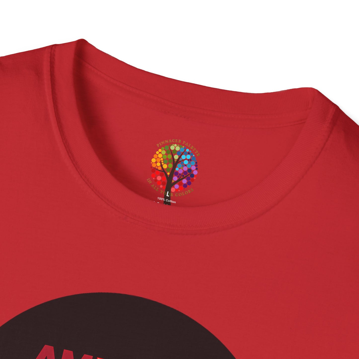 PALESTINE FLAG T-SHIRT UNISEX