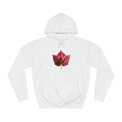 PAG PINK IVY HOODY - WOMEN'S