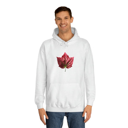 PAG PINK IVY HOODY - WOMEN'S