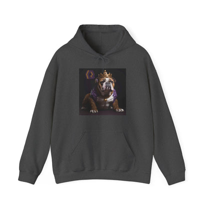 OME KING Q DOGG HOODY - UNISEX