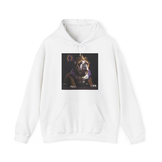 OME KING Q DOGG HOODY - UNISEX
