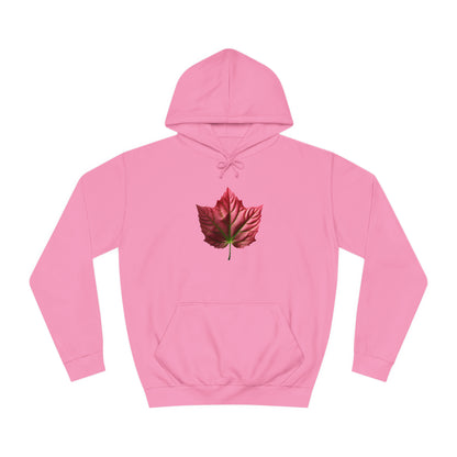 PAG PINK IVY HOODY - WOMEN'S