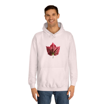 PAG PINK IVY HOODY - WOMEN'S