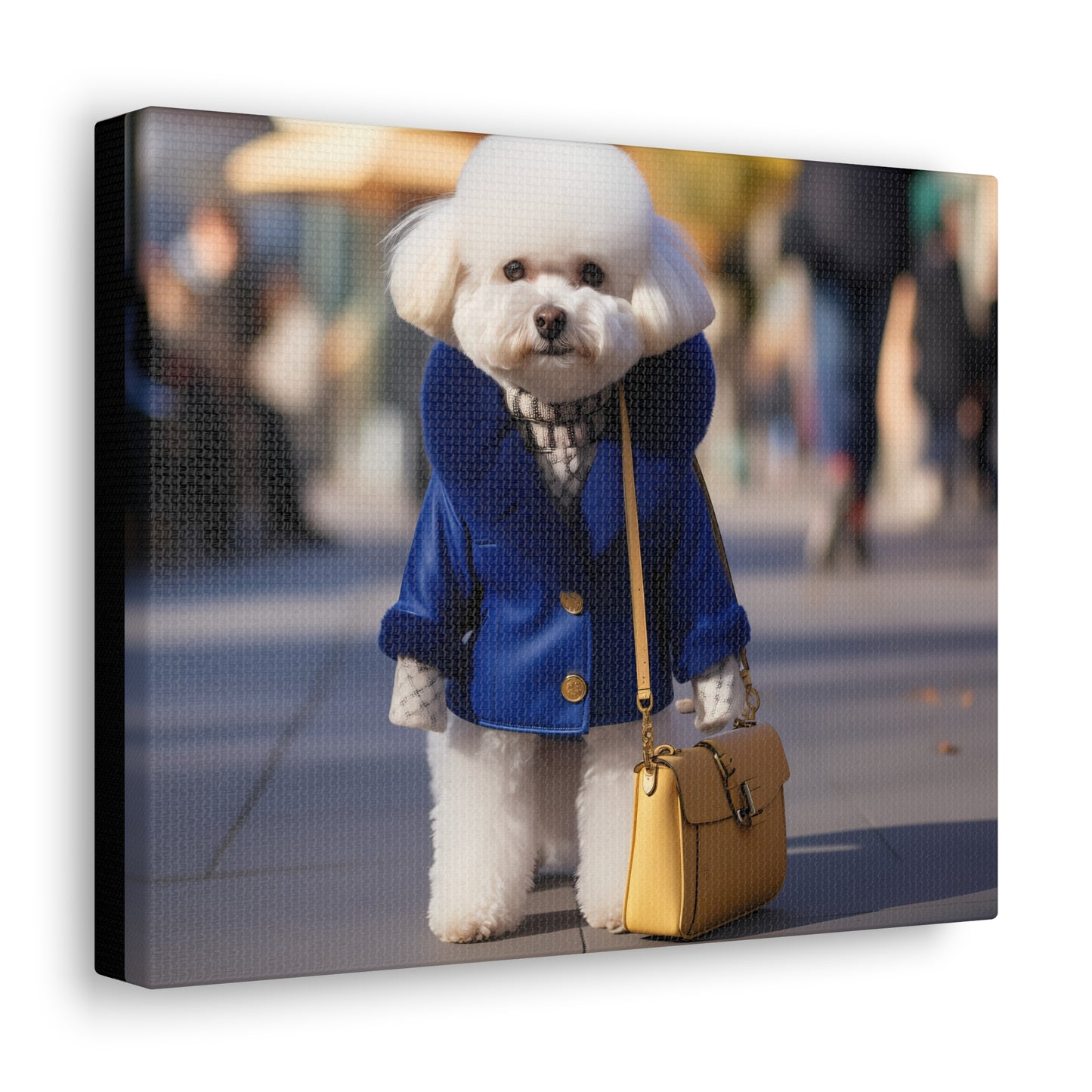SGR  BICHON GALLERY WRAPS