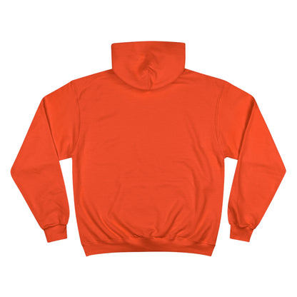 SINECURIST GOOGLE IT HOODIE - UNISEX