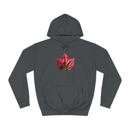 PAG PINK IVY HOODY - WOMEN'S