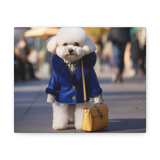 SGR  BICHON GALLERY WRAPS