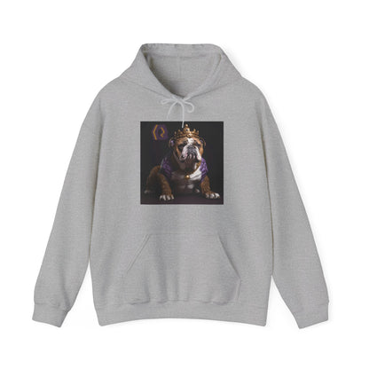 OME KING Q DOGG HOODY - UNISEX