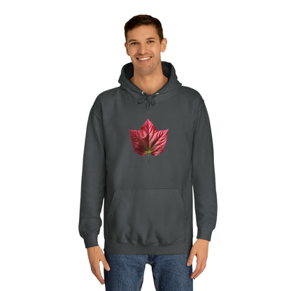PAG PINK IVY HOODY - WOMEN'S