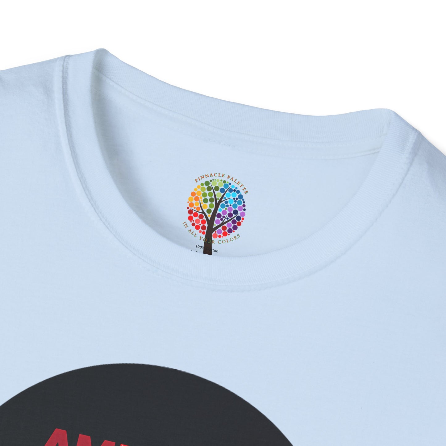 PALESTINE FLAG T-SHIRT UNISEX